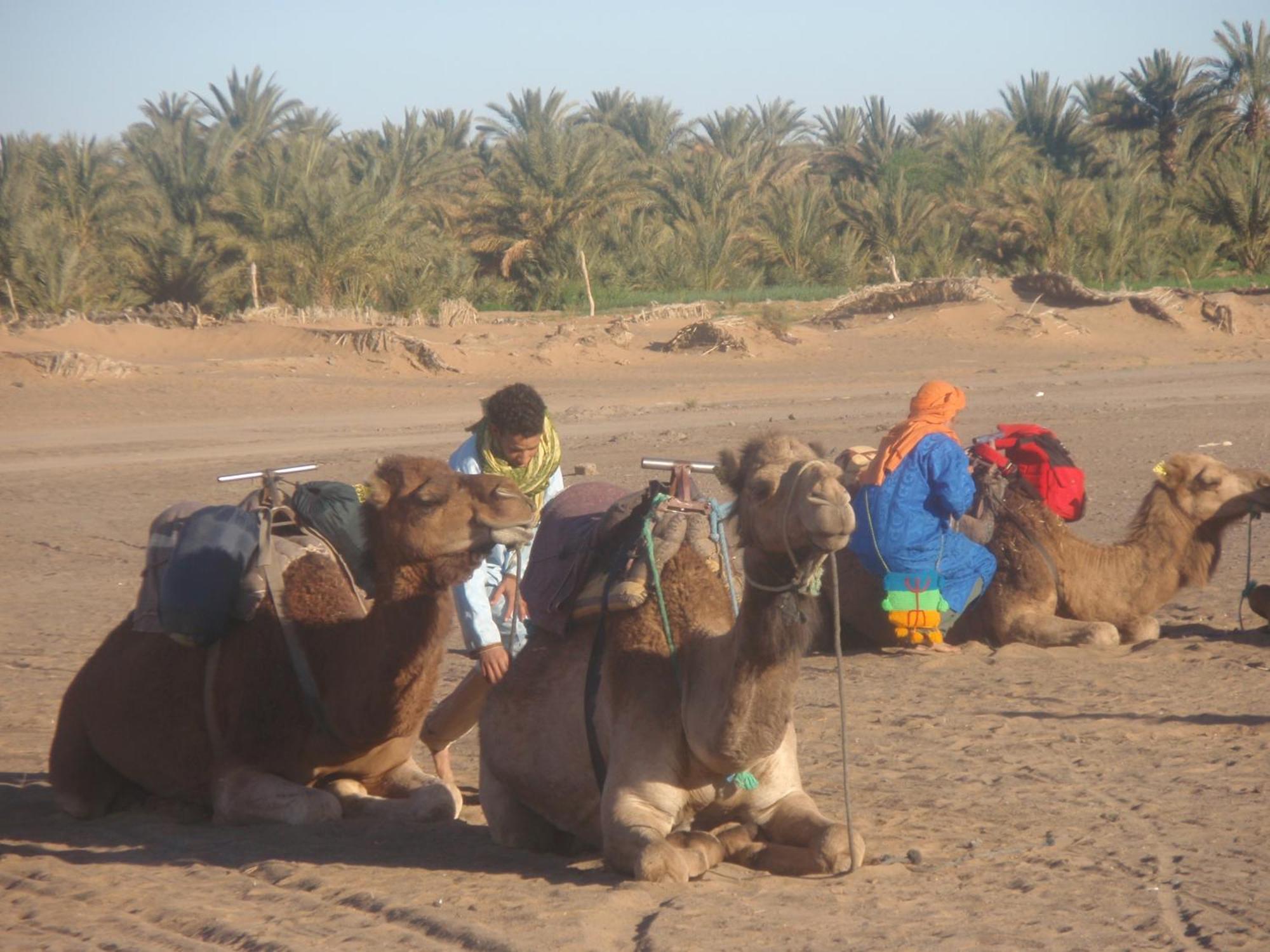 Riad Aicha & Camel Trekking Merzouga Exterior photo