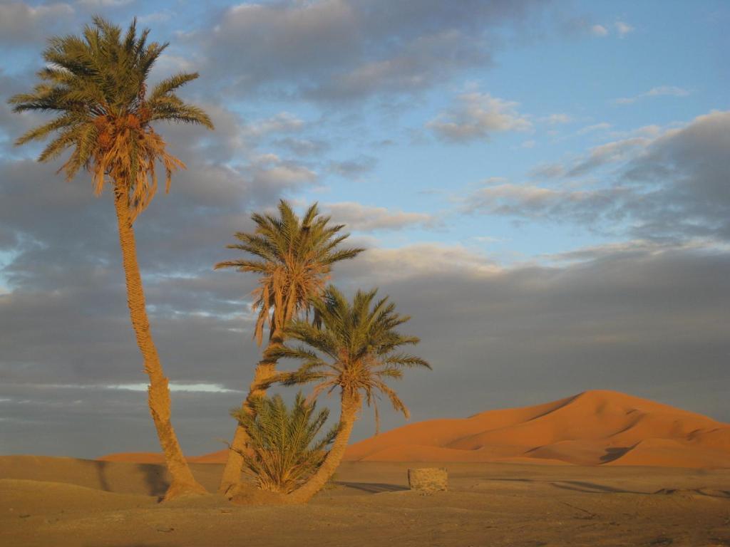 Riad Aicha & Camel Trekking Merzouga Exterior photo